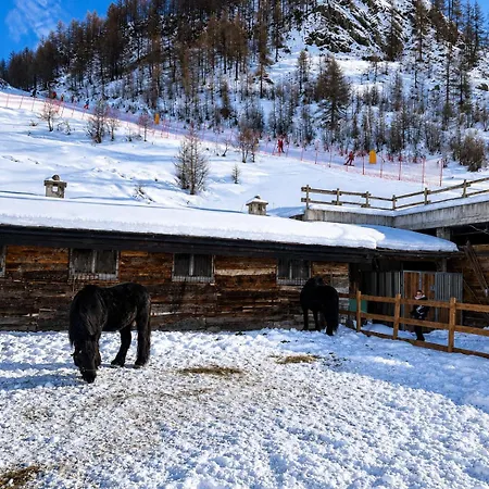 Cp7 Luxury Cervinia Apartmán *