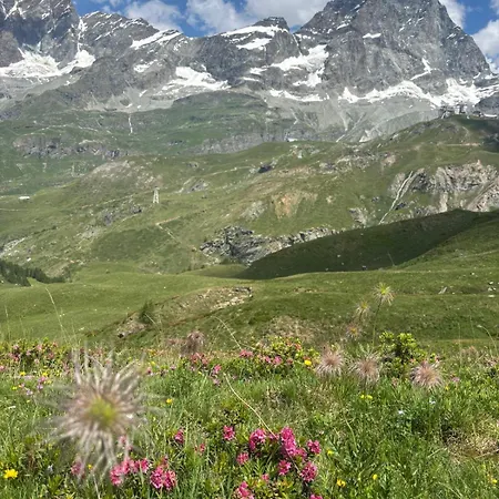 Cp7 Luxury Cervinia * Breuil-Cervinia